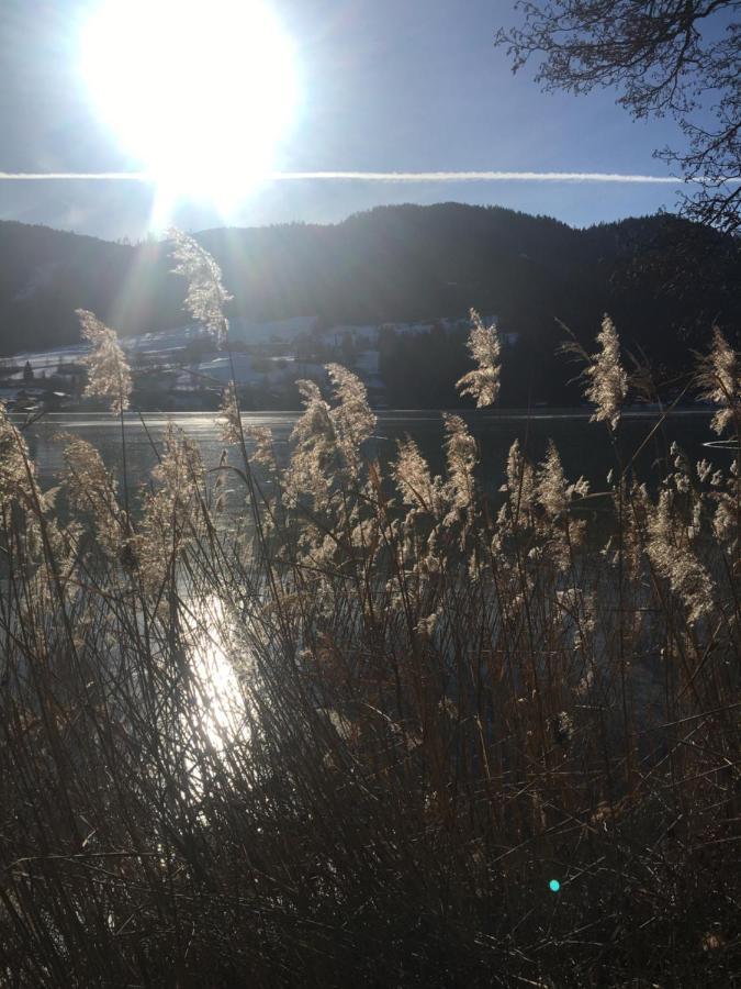 Lemberger Dellach im Drautal